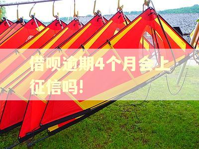 借呗逾期4个月会上征信吗! 借呗逾期4个月会上征信吗!