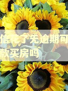 征信花了无逾期可以贷款买房吗