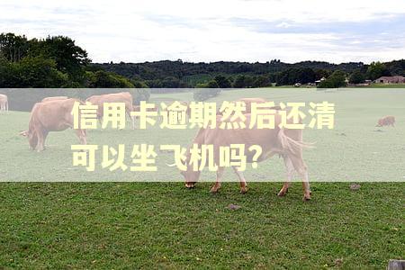 信用卡逾期然后还清可以坐飞机吗?