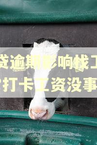 网贷逾期影响找工作吗?打卡工资没事不 网贷逾期影响找工作吗?打卡工资没事不