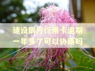 建设银行行用卡逾期一年多了可以协商吗