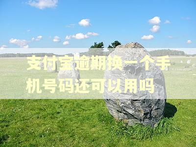 支付宝逾期换一个手机号码还可以用吗
