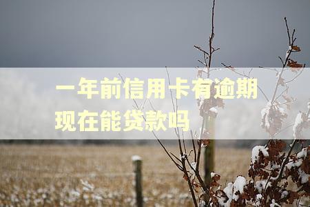 一年前信用卡有逾期现在能贷款吗