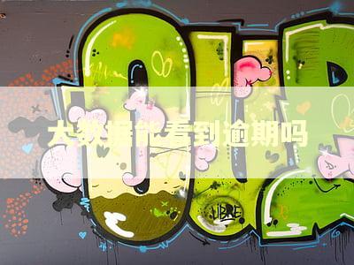 大数据能看到逾期吗