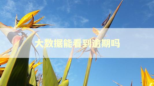 大数据能看到逾期吗