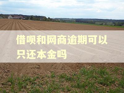 借呗和网商逾期可以只还本金吗