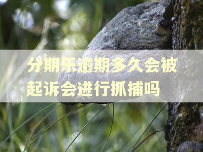 分期乐逾期多久会被起诉会进行抓捕吗
