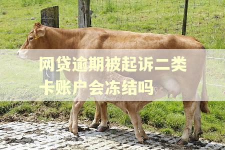 网贷逾期被起诉二类卡账户会冻结吗