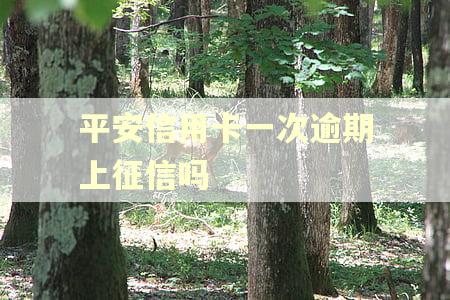 平安信用卡一次逾期上征信吗