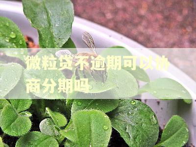 微粒贷不逾期可以协商分期吗