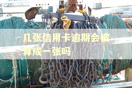 几张信用卡逾期会被算成一张吗