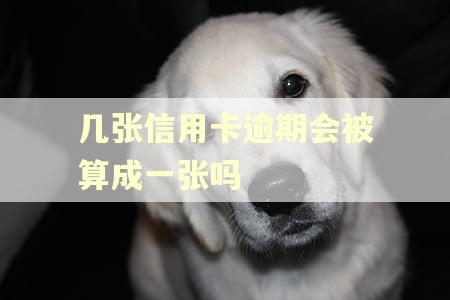 几张信用卡逾期会被算成一张吗