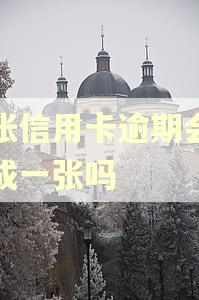 几张信用卡逾期会被算成一张吗