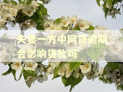 夫妻一方中网贷逾期会影响贷款吗 夫妻一方中网贷逾期会影响贷款吗