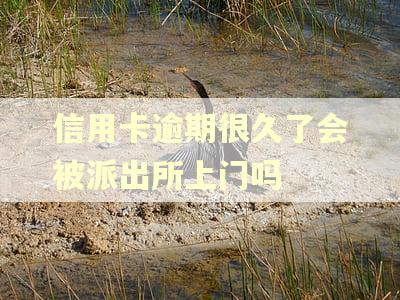 信用卡逾期很久了会被派出所上门吗 信用卡逾期很久了会被派出所上门吗