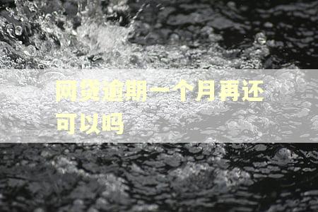 网贷逾期一个月再还可以吗 网贷逾期一个月再还可以吗