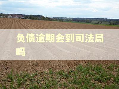 负债逾期会到司法局吗