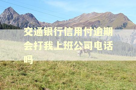 交通银行信用付逾期会打我上班公司电话吗