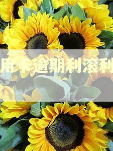 信用卡逾期利滚利吗?