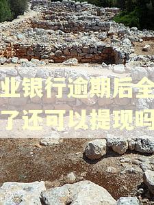 兴业银行逾期后全还完了还可以提现吗