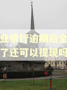 兴业银行逾期后全还完了还可以提现吗 兴业银行逾期后全还完了还可以提现吗