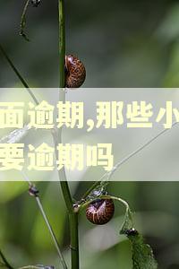 全面逾期,那些小额的要逾期吗