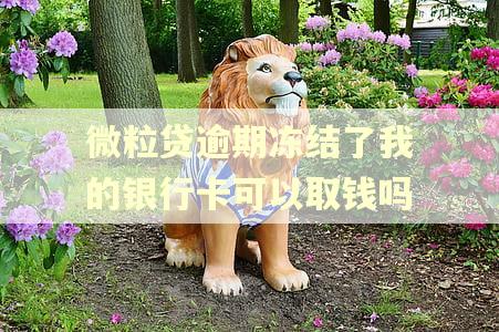 微粒贷逾期冻结了我的银行卡可以取钱吗