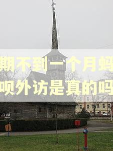 逾期不到一个月蚂蚁借呗外访是真的吗?