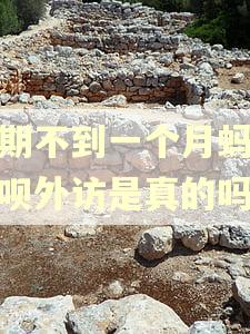 逾期不到一个月蚂蚁借呗外访是真的吗?