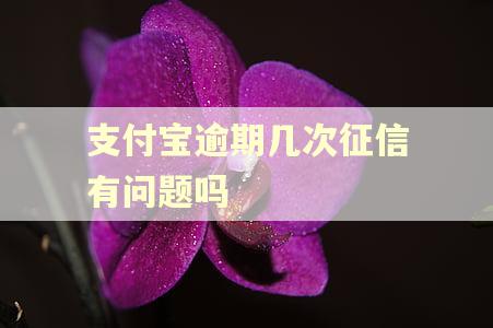 支付宝逾期几次征信有问题吗 支付宝逾期几次征信有问题吗