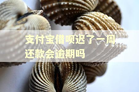 支付宝借呗迟了一周还款会逾期吗