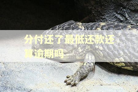 分付还了最低还款还算逾期吗