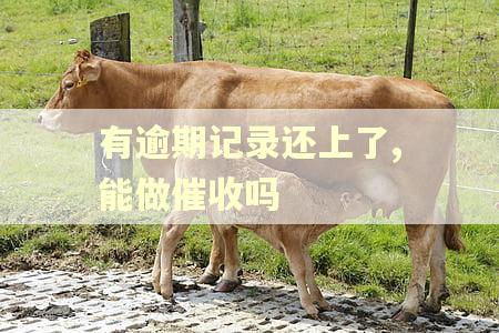 有逾期记录还上了,能做催收吗