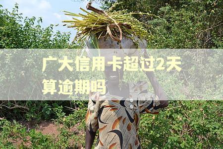 广大信用卡超过2天算逾期吗