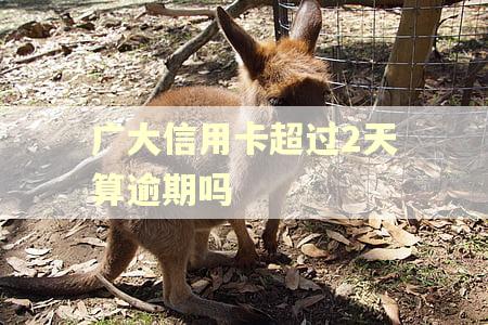 广大信用卡超过2天算逾期吗