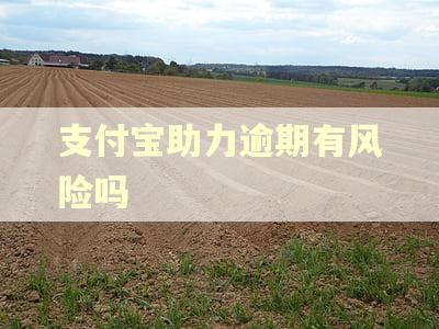 支付宝助力逾期有风险吗