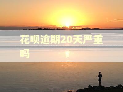 花呗逾期20天严重吗