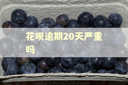 花呗逾期20天严重吗