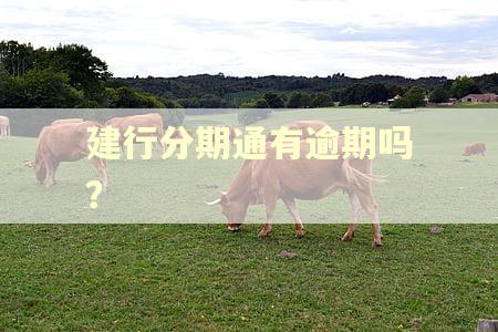 建行分期通有逾期吗? 建行分期通有逾期吗?