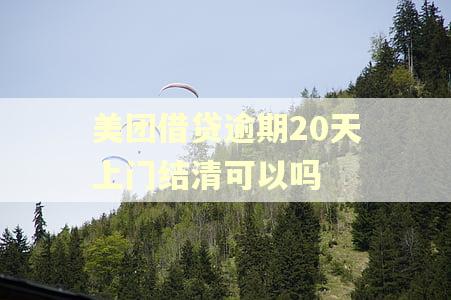 美团借贷逾期20天上门结清可以吗