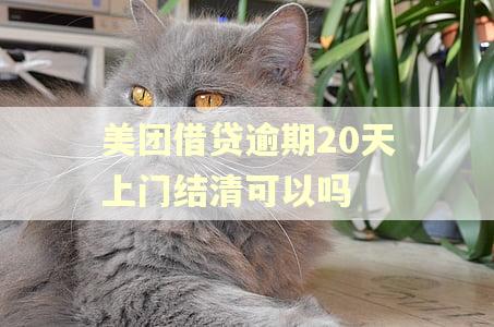 美团借贷逾期20天上门结清可以吗 美团借贷逾期20天上门结清可以吗