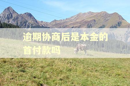 逾期协商后是本金的首付款吗