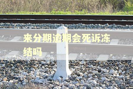来分期逾期会死诉冻结吗