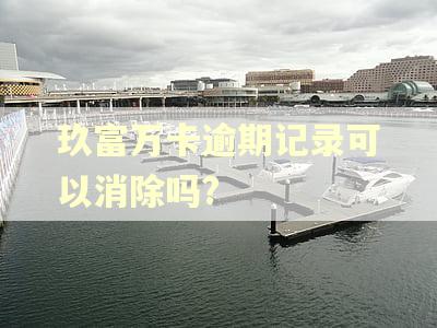 玖富万卡逾期记录可以消除吗?