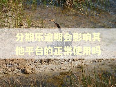 分期乐逾期会影响其他平台的正常使用吗