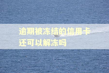 逾期被冻结的信用卡还可以解冻吗