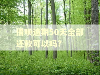借呗逾期50天全部还款可以吗?