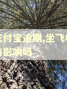 支付宝逾期,坐飞机有影响吗