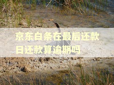 京东白条在最后还款日还款算逾期吗