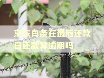 京东白条在最后还款日还款算逾期吗 京东白条在最后还款日还款算逾期吗